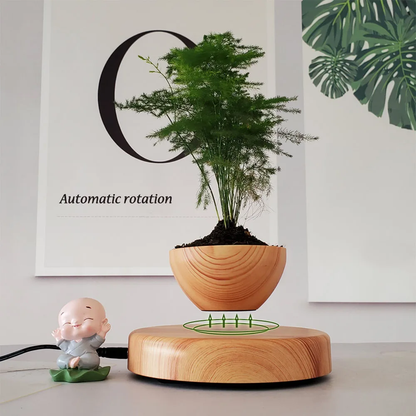 Magnetic Suspension Floating Pot